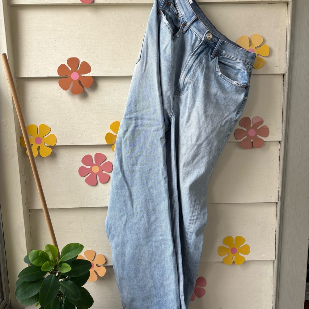 American Eagle AE Baggy Jean
